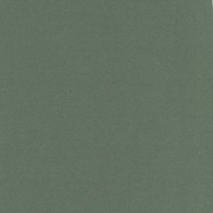 Linnenkarton - Card Deco - Scrap - Basilicum - (LKK-SC41)