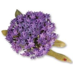 Sizzix Thinlits Die Set Flower - Globe Allium 6PK S.Tierney-Cockburn (659261) (AFGEPRIJSD)