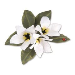 Sizzix Thinlits Die Set Flower (8pcs) - Stephanotis - S.Tierney-Cockburn (659264) (AFGEPRIJSD)
