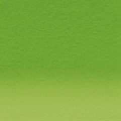 Inktense Fern 1560 (DIP2301887)