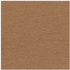 Folia Fotokarton Reebruin 50X70-300G (FO6175)