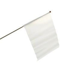 Sublimatie Handvlag Klein (HFS.290.200.001)