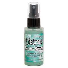 Ranger Distress Oxide Spray - Evergreen Bough - Tim Holtz (TSO67672)*